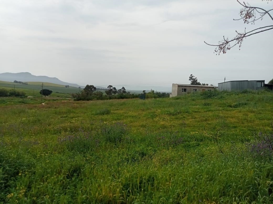 0 Bedroom Property for Sale in Koringberg Western Cape